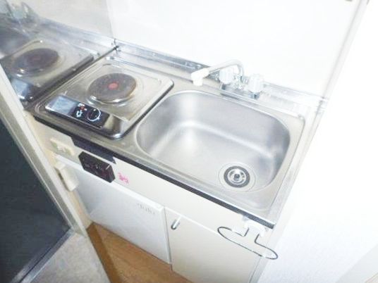 Kitchen. Kitchen for singles.