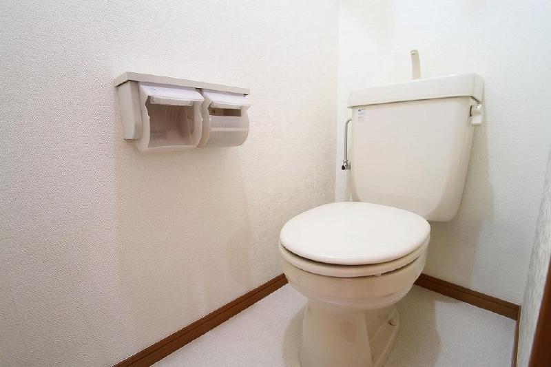 Toilet. Rest room with cleanliness