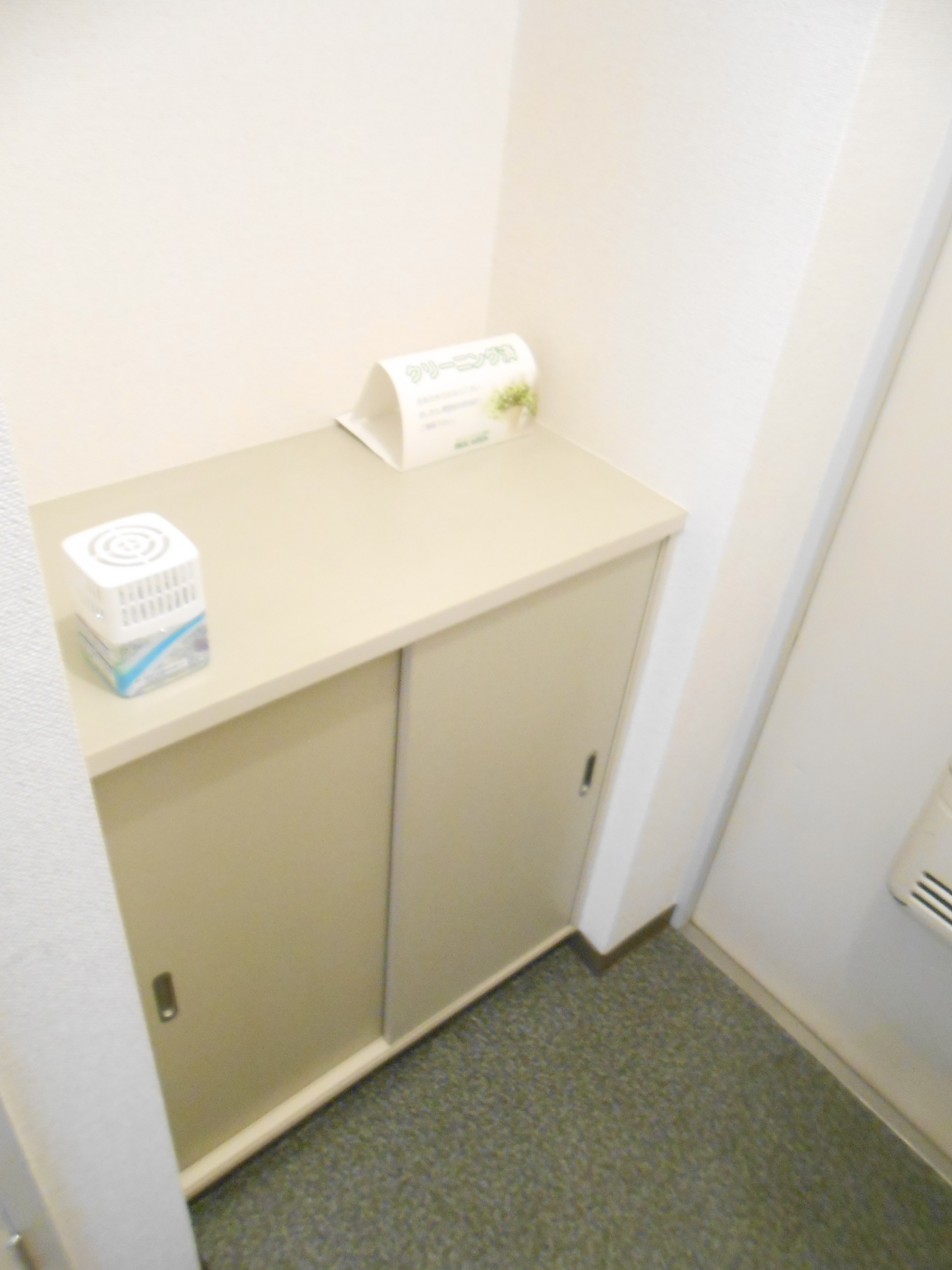 Entrance. Entrance shoebox