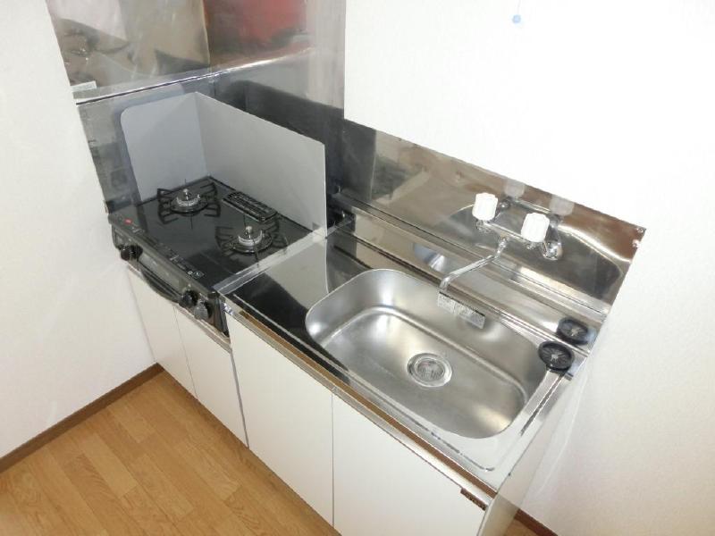 Kitchen. Two-burner gas stove is new