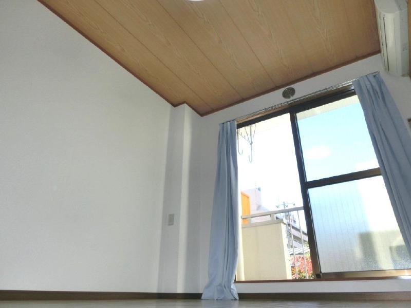 Other. It comes with even lighting that can brightness adjustment