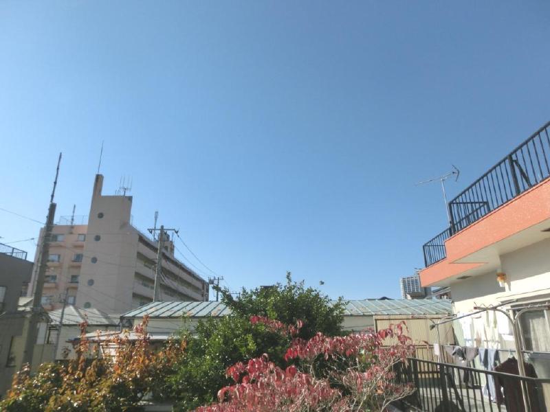 Other. Bright room in the sun