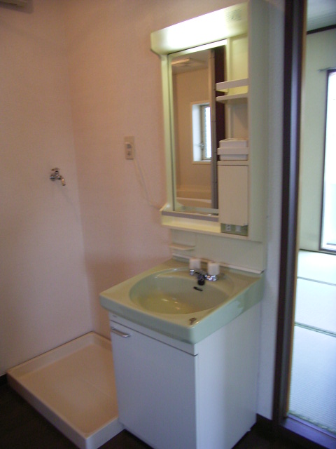 Washroom. It comes with independent wash basin! Also Laundry Area is room!