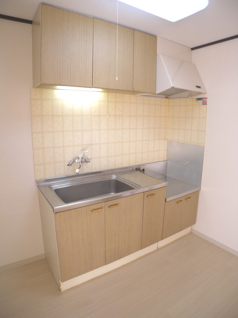 Kitchen. City gas specifications