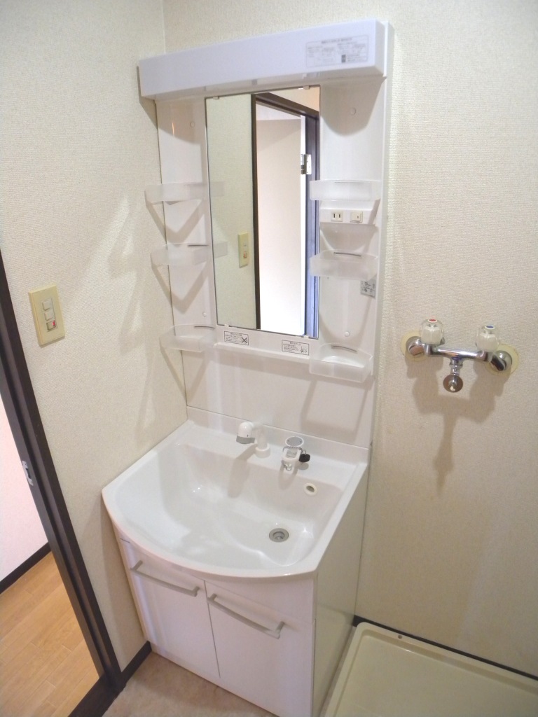 Washroom. Bathroom Vanity