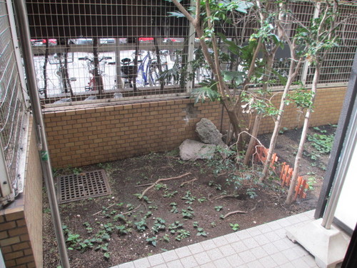 Other common areas. Private garden ・ terrace