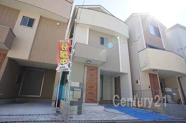 Local photos, including front road. Local (10 May 2013) Shooting