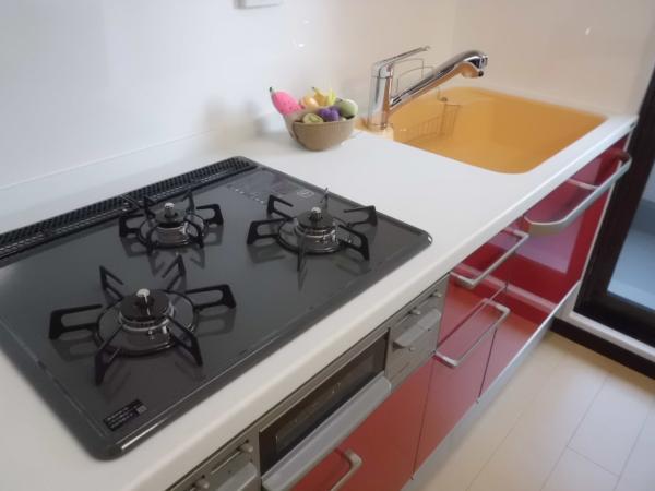 Kitchen. Water purifier built-in system kitchen