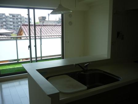 Kitchen. Use of the counter-kitchen