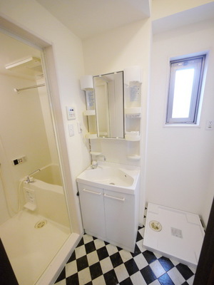 Washroom. Wash basin and washing machine Storage