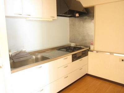 Kitchen. System kitchen