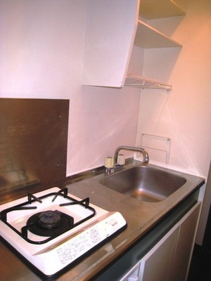 Kitchen. Gas stove installation of the system kitchen