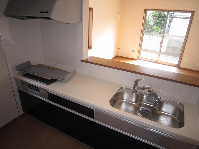 Kitchen. Indoor (10 May 2013) Shooting