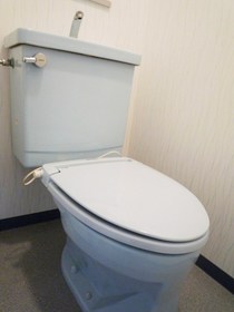 Toilet. Toilet
