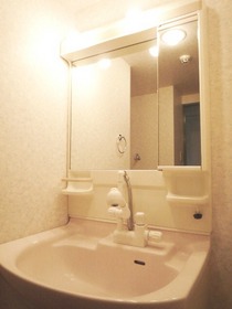 Washroom. Shampoo dresser