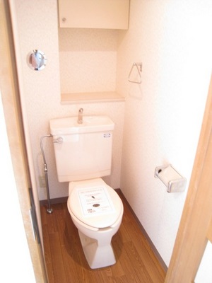Toilet. Storage and towel rail with