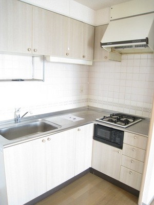 Kitchen. Dishes also fun with L-shaped kitchen