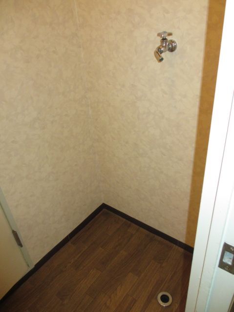 Other room space. Washing machine in the room