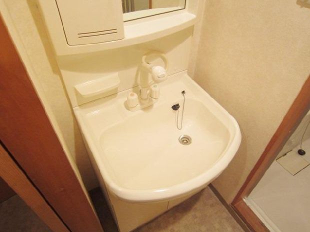 Washroom. Shower is equipped Dresser