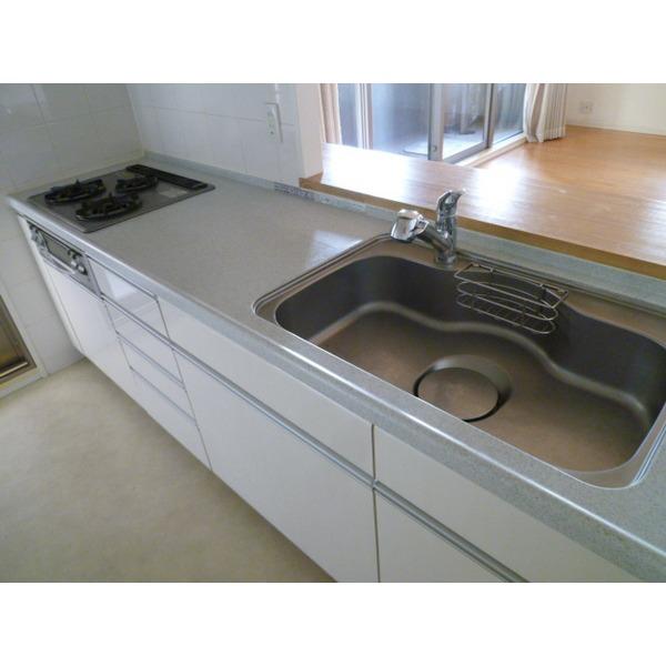 Kitchen. Face-to-face counter kitchen