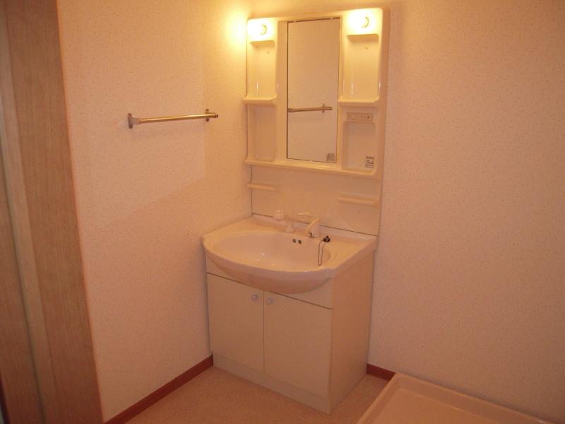 Washroom. Shampoo dresser