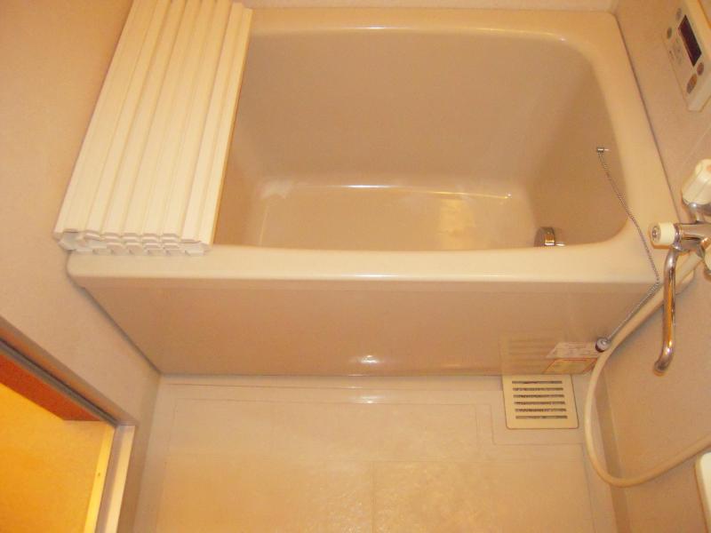 Bath. Bathroom with follow fired