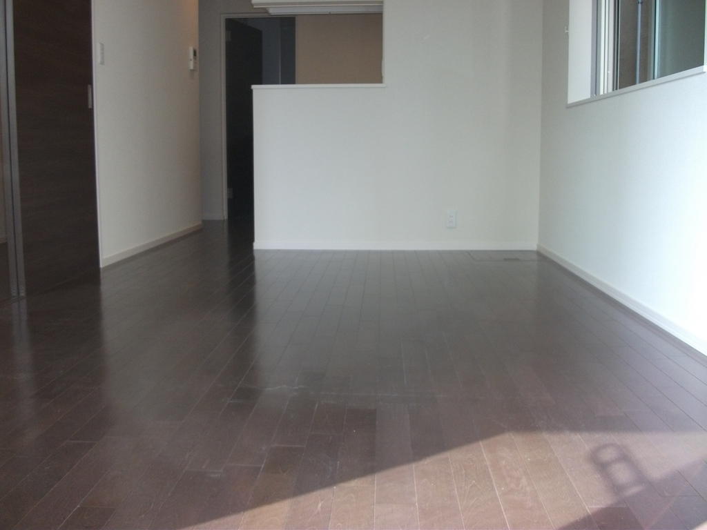 Living and room. Bright living room to plug the sun.