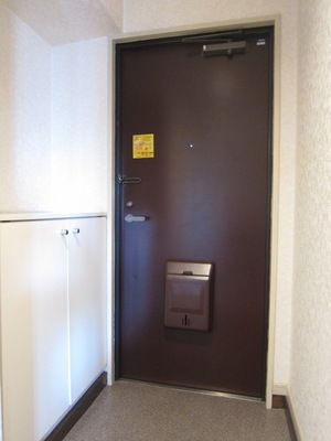 Entrance. There footwear box