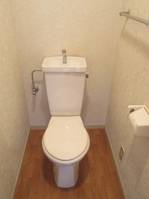 Toilet. It comes with a towel rack