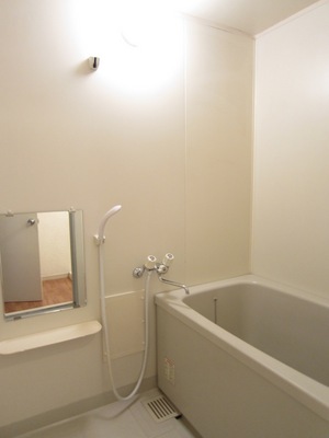 Bath. It is with mirror bathroom