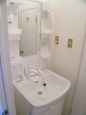 Washroom. It is a dressing completed in front of the shampoo dresser in a busy morning!