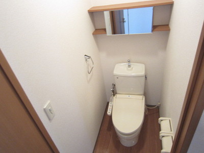 Toilet. Storage with toilet with a mirror