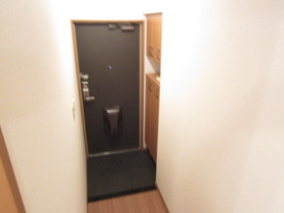 Entrance. Large with a shoe box