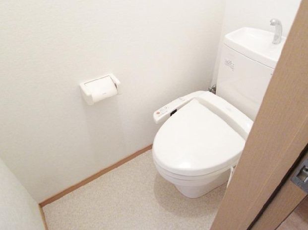 Toilet. Washlet Installed