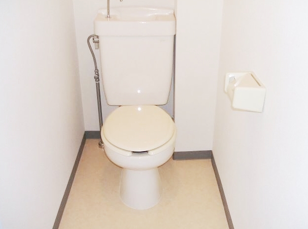 Toilet. Water around also become beautiful.