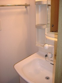 Washroom. Shampoo dresser