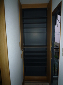 Entrance. Footwear box equipped