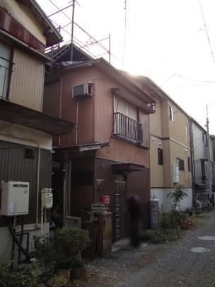 Local land photo. Appearance (1)