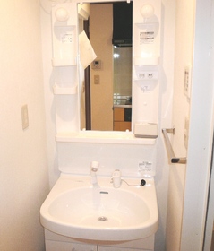 Washroom. Washbasin with shampoo dresser