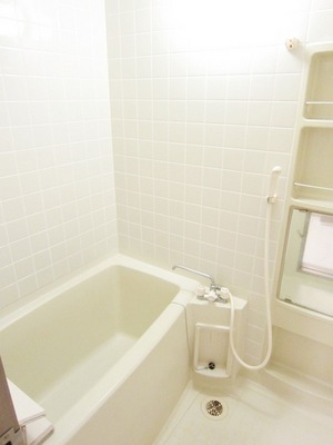 Bath. Enough bathroom breadth