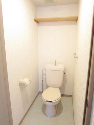 Toilet. Toilet with cleanliness