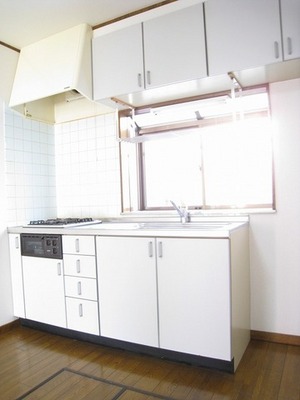 Kitchen. System kitchen fish grilled with grill