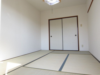 Living and room. Bright Japanese-style room facing the balcony