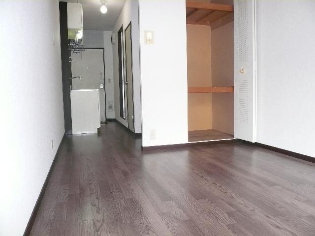 Other room space. Compartment until the ceiling.