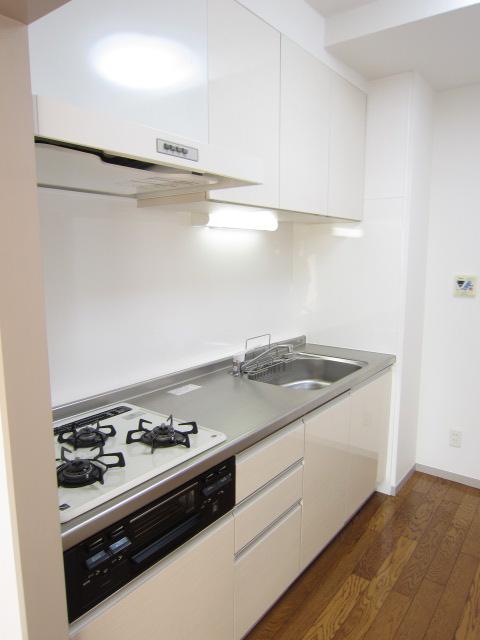 Kitchen. Indoor (12 May 2013) Shooting