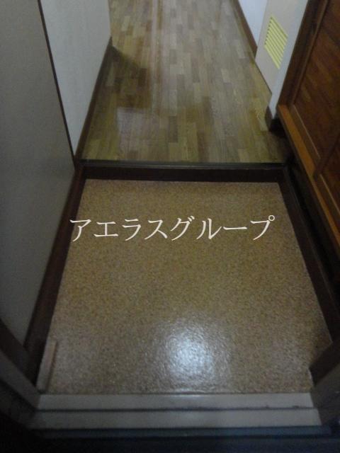 Entrance. Stylish entrance