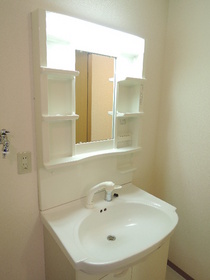 Washroom. Shampoo - dresser - is