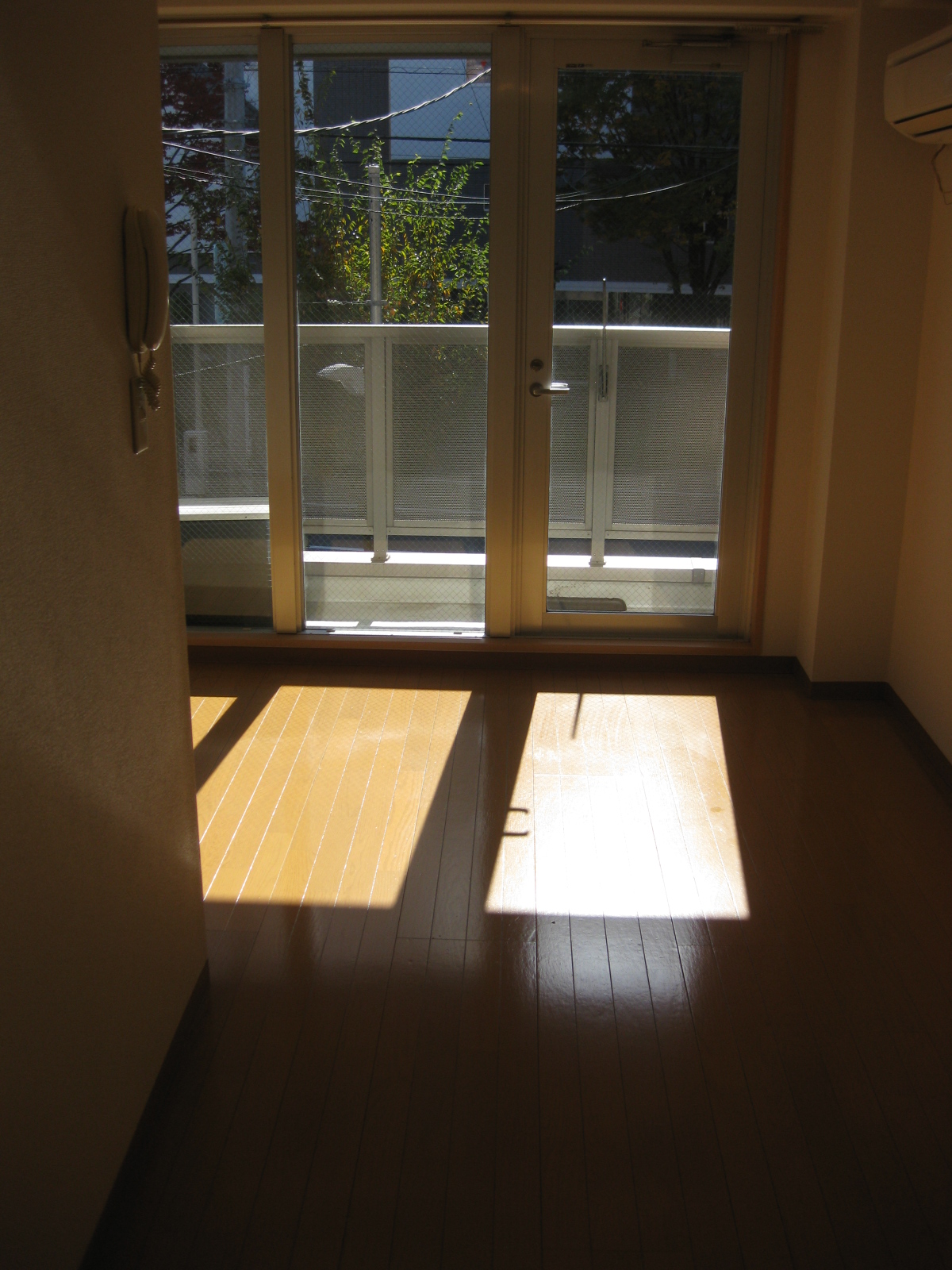 Living and room. Sunny DK