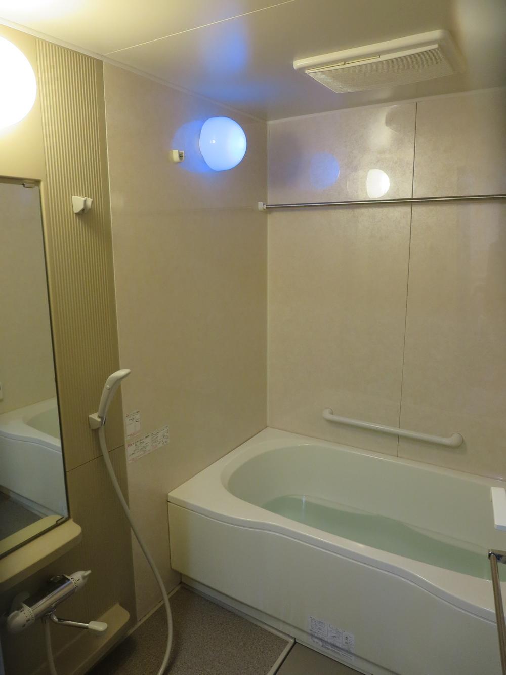 Bathroom. Indoor (11 May 2013) Shooting