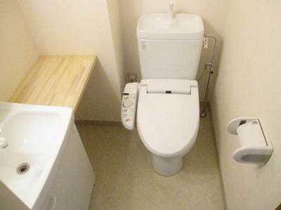 Toilet. Bidet with toilet